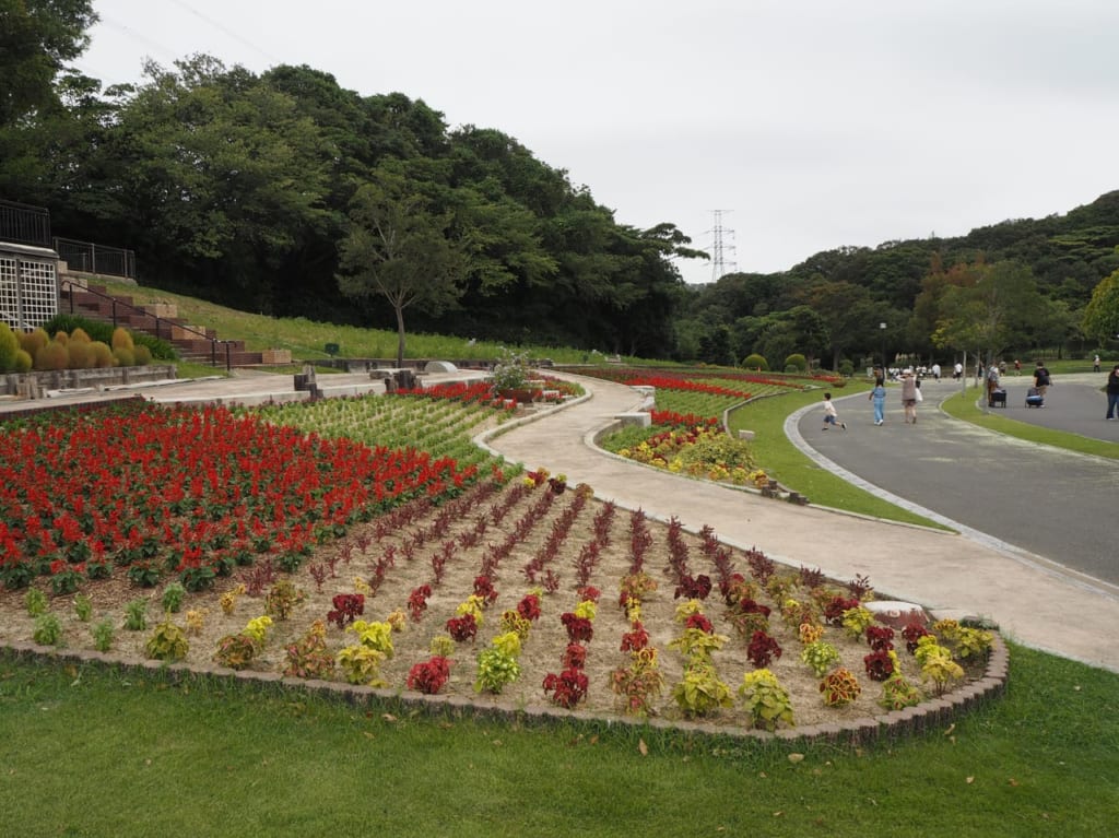 グリーンパーク園内