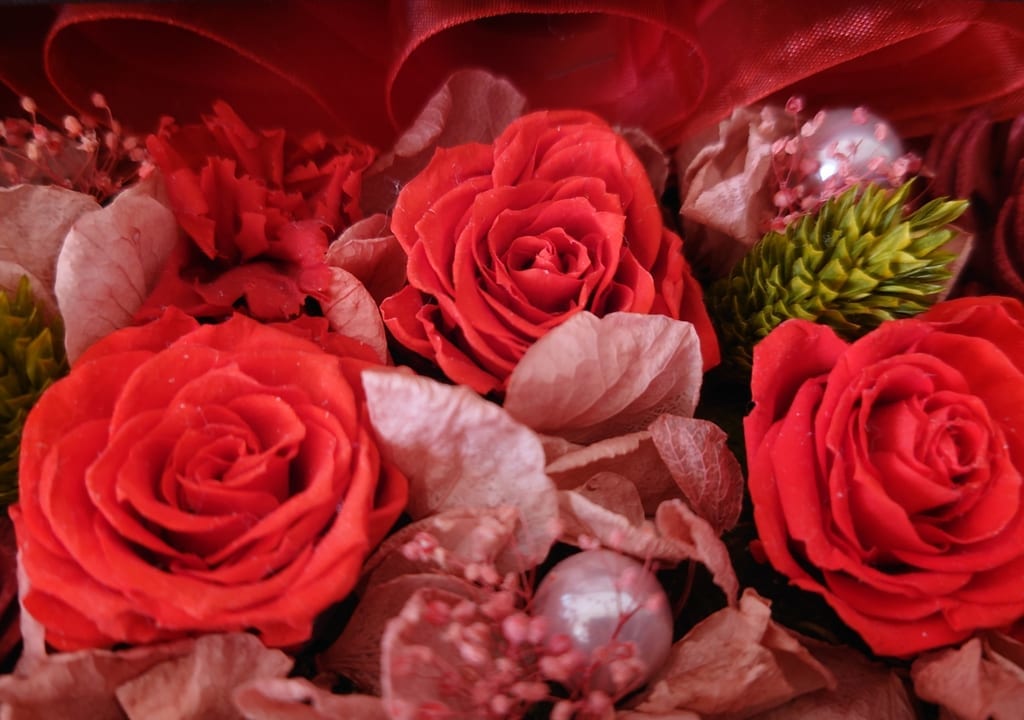薔薇