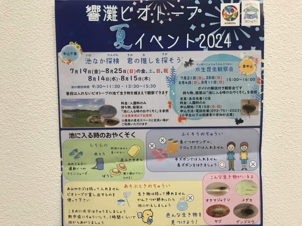 2024年に若松区の響灘ビオトープで池なか探検 君の推しを探そう