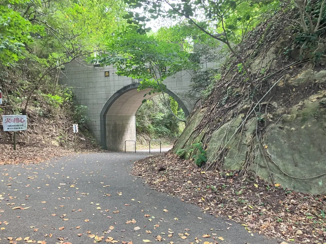 2024年に八幡西区の瀬板の森公園