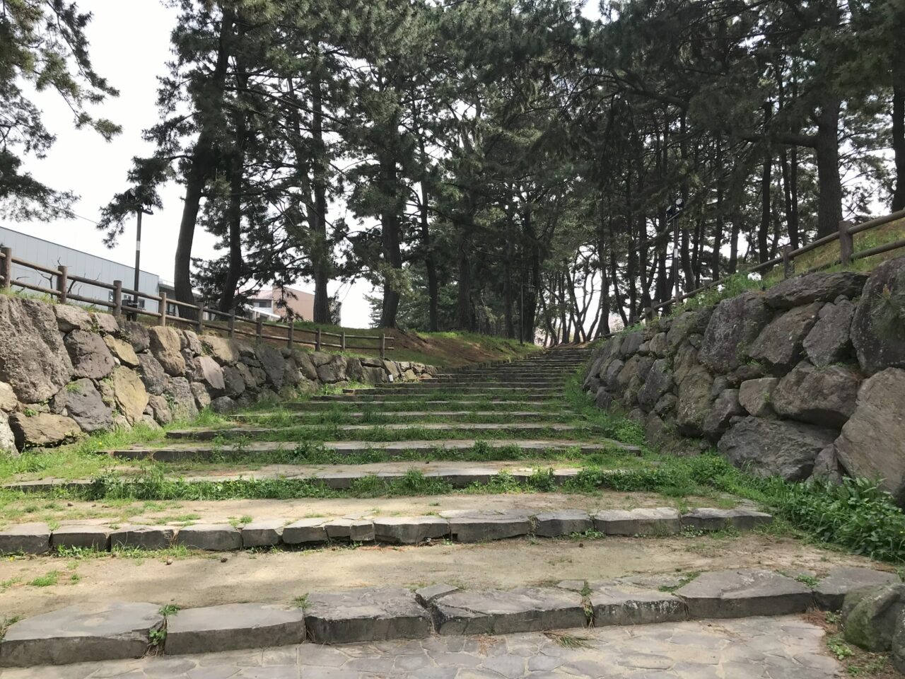 2024年に八幡西区で黒崎宿場夜市が開催