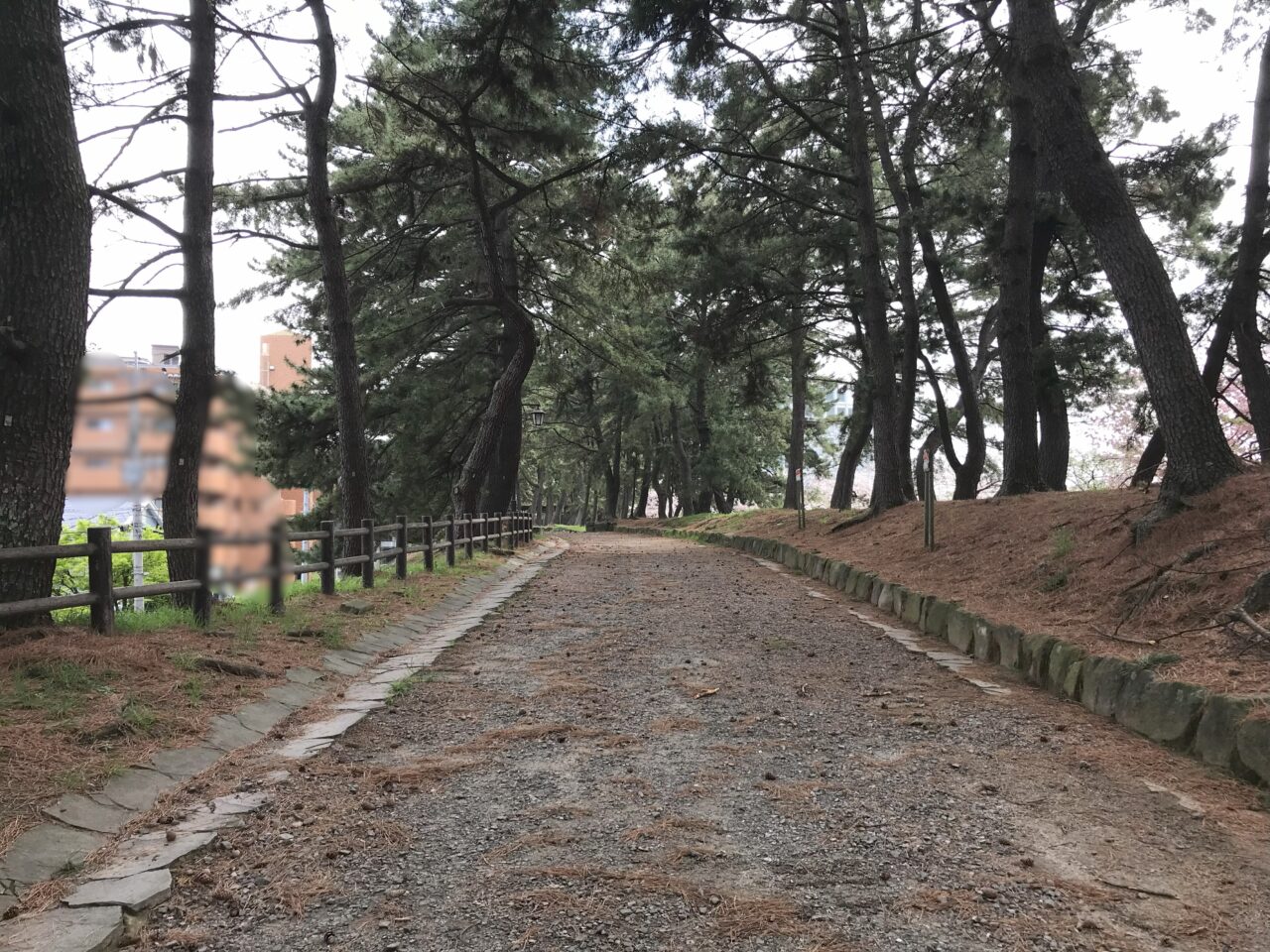 2024年に八幡西区で黒崎宿場夜市が開催