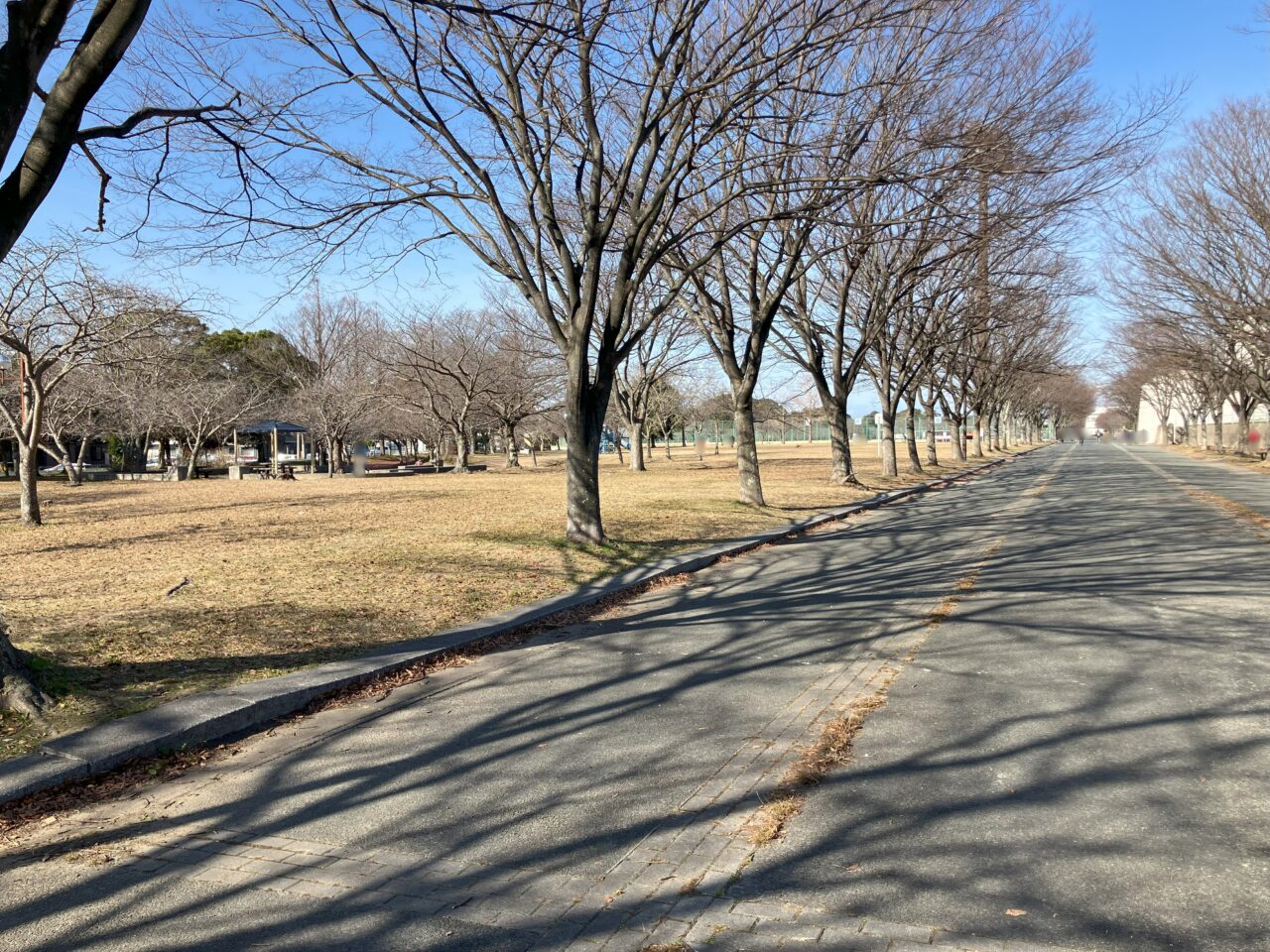 2025年に八幡西区の本城公園が施設改修