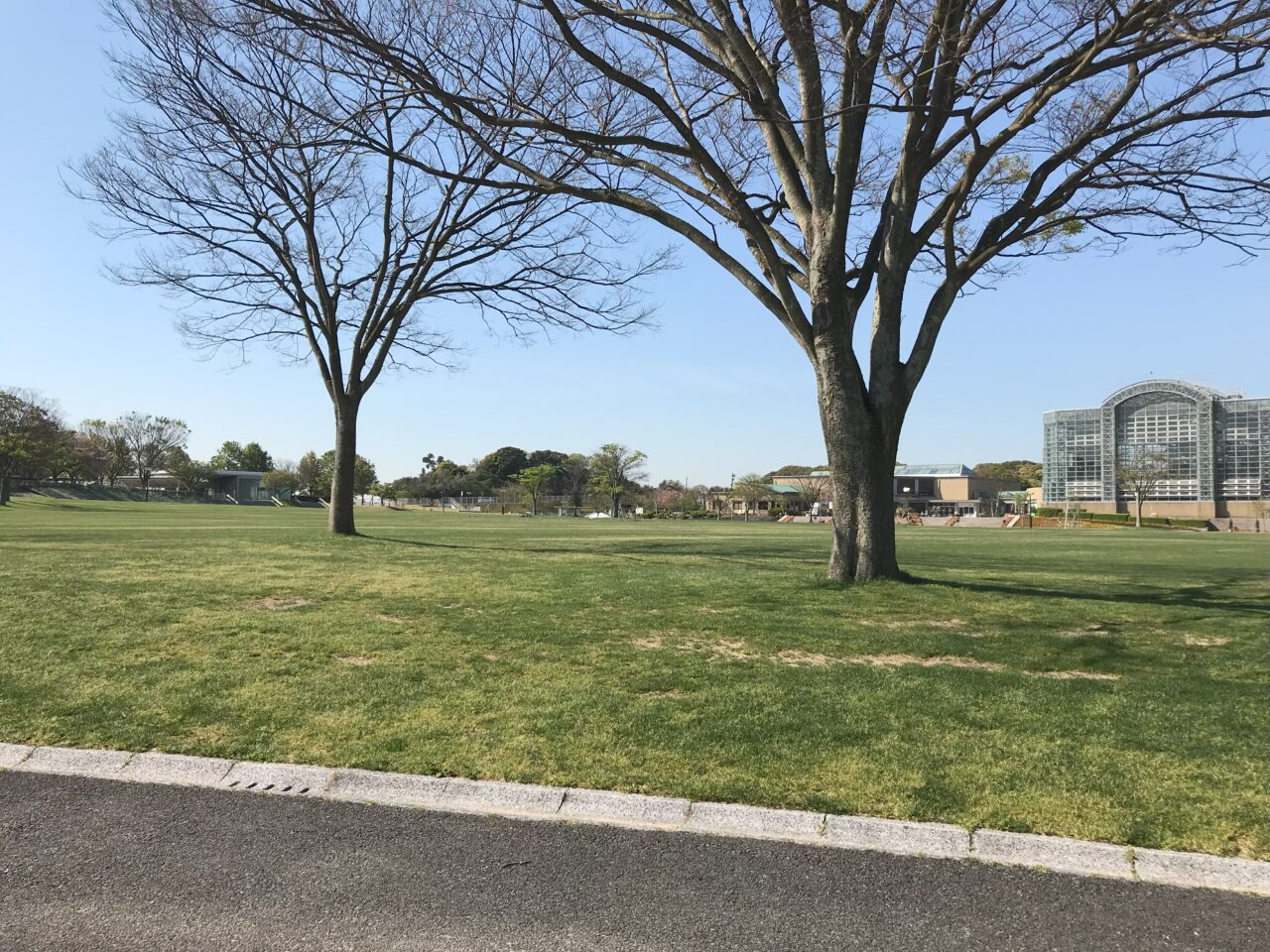 2025年に若松区のグリーンパークで「若松北海岸フェスティバル2025 いいね発見スタンプラリー」