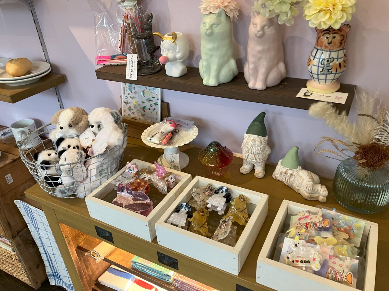 2025年に若松区のアネイモウト雑貨店