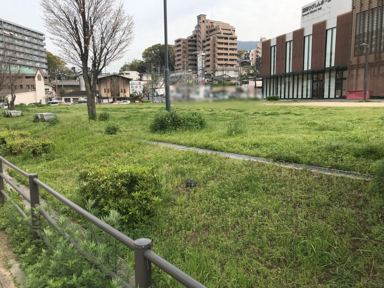 2025年に八幡西区で撥川ホタル祭り