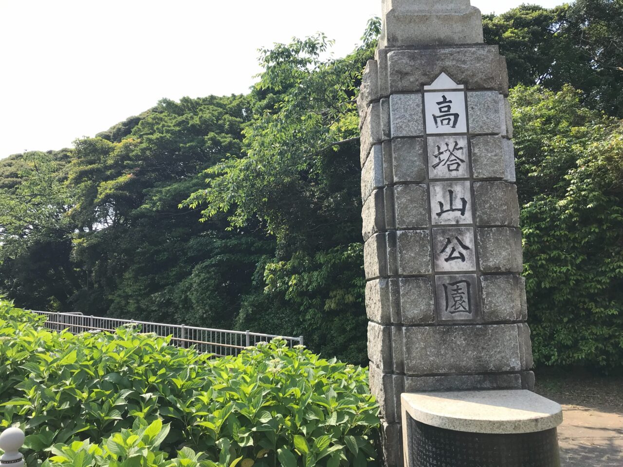 2025年に若松区の高塔山公園で「第27回 若松あじさい祭り」が開催
