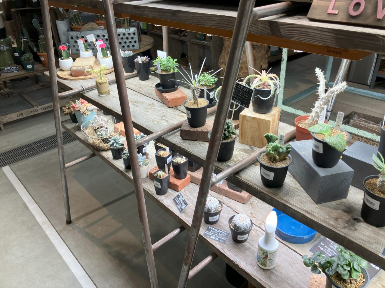 2025年に八幡東区のthe Farm UNIVERSALが閉店
