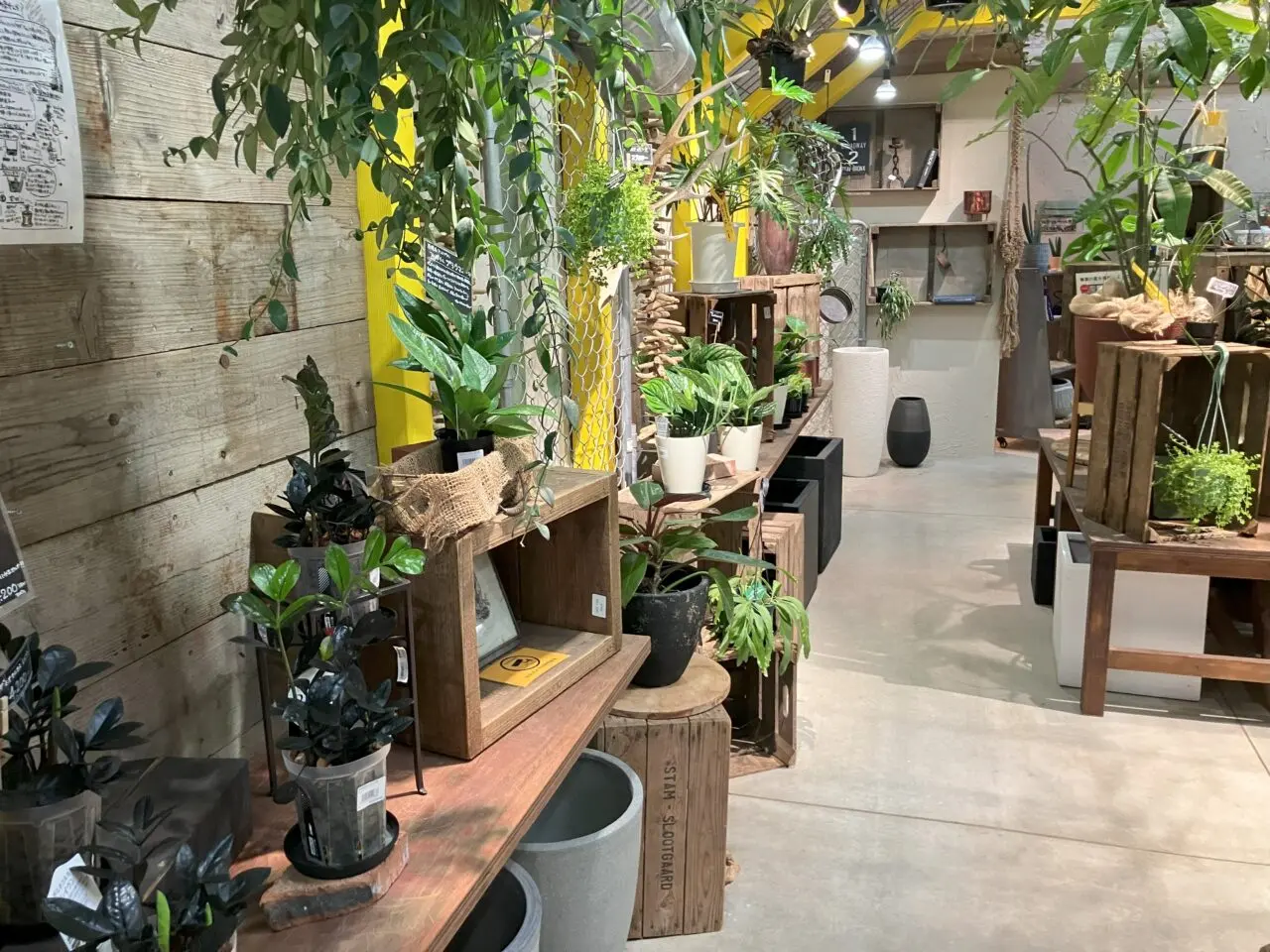 2025年に八幡東区のthe Farm UNIVERSALが閉店