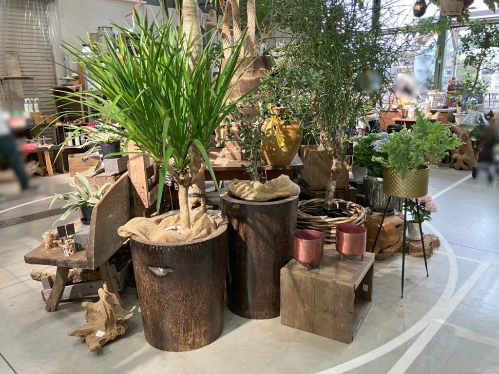 2025年に八幡東区のthe Farm UNIVERSALが閉店