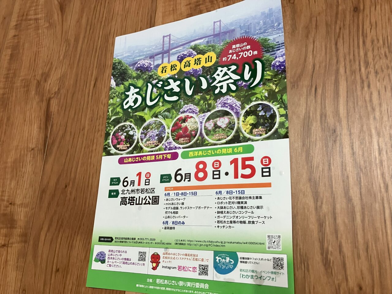 2025年に若松区の高塔山公園で「第27回 若松あじさい祭り」が開催