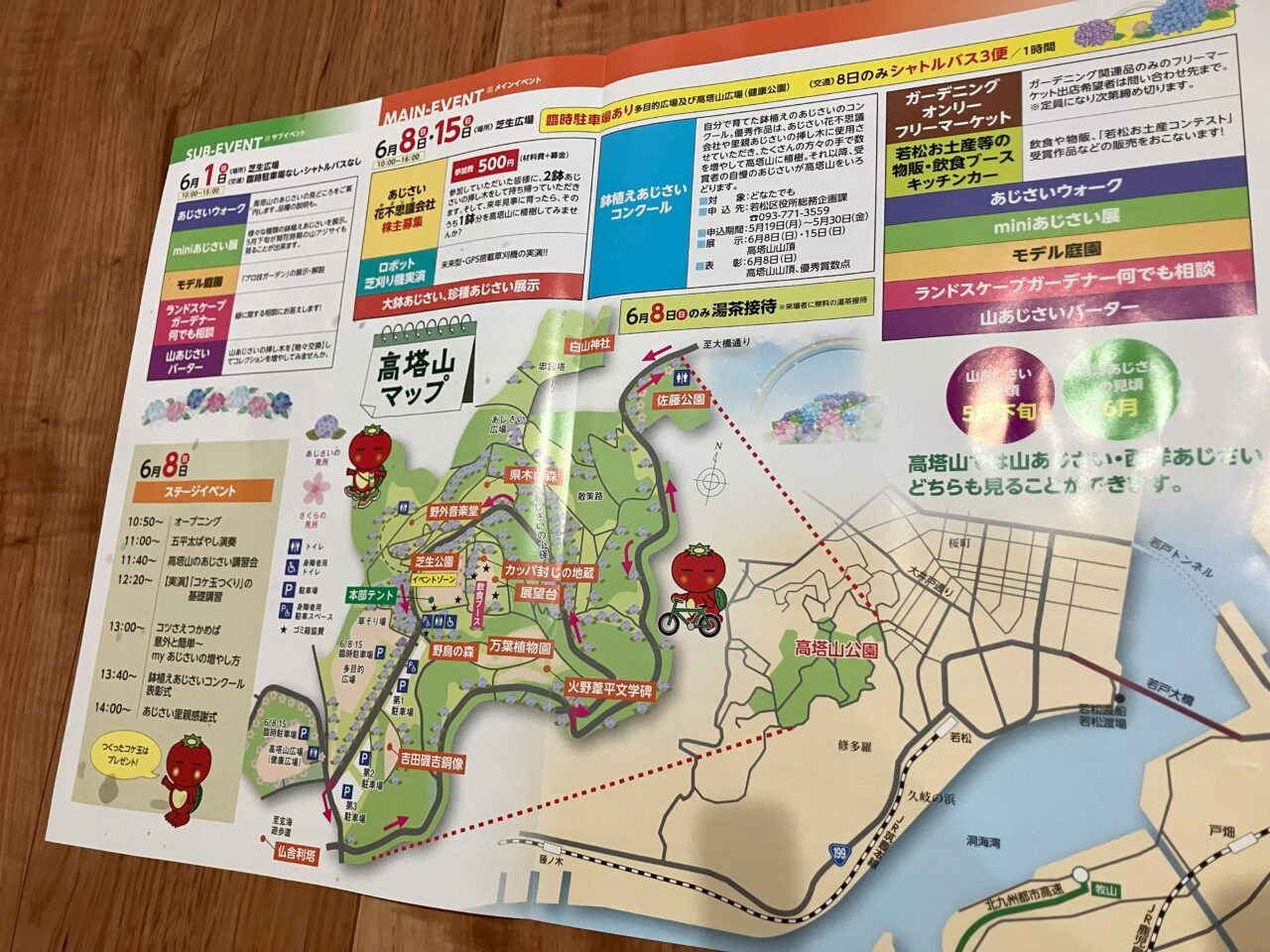 2025年に若松区の高塔山公園で「第27回 若松あじさい祭り」が開催