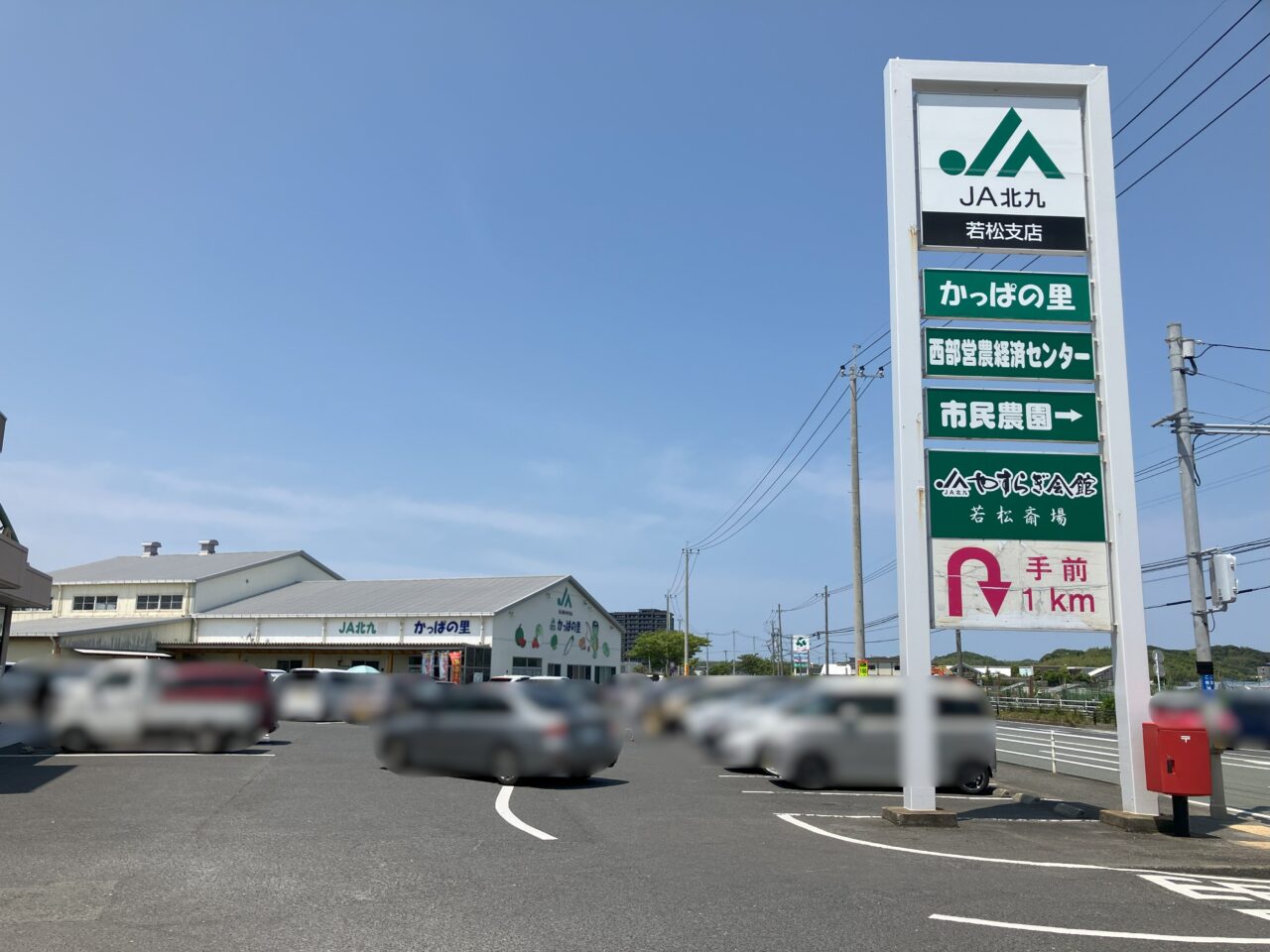 2025年に若松区のJA北九 かっぱの里若松店で「若松コーンまつり」が開催