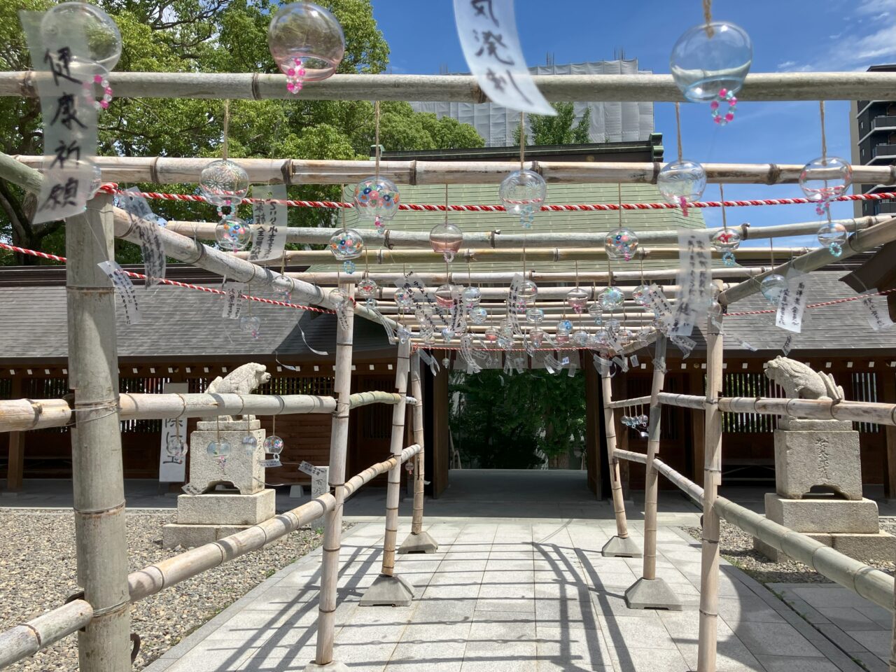 2025年に八幡西区の岡田宮で風鈴祭が開催