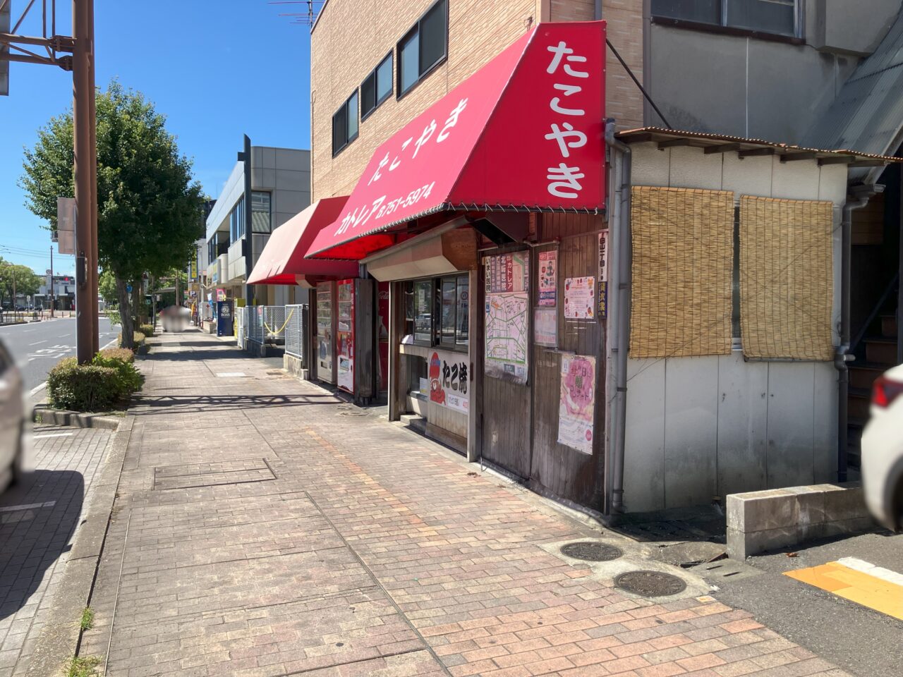 2025年に若松区のカトレア