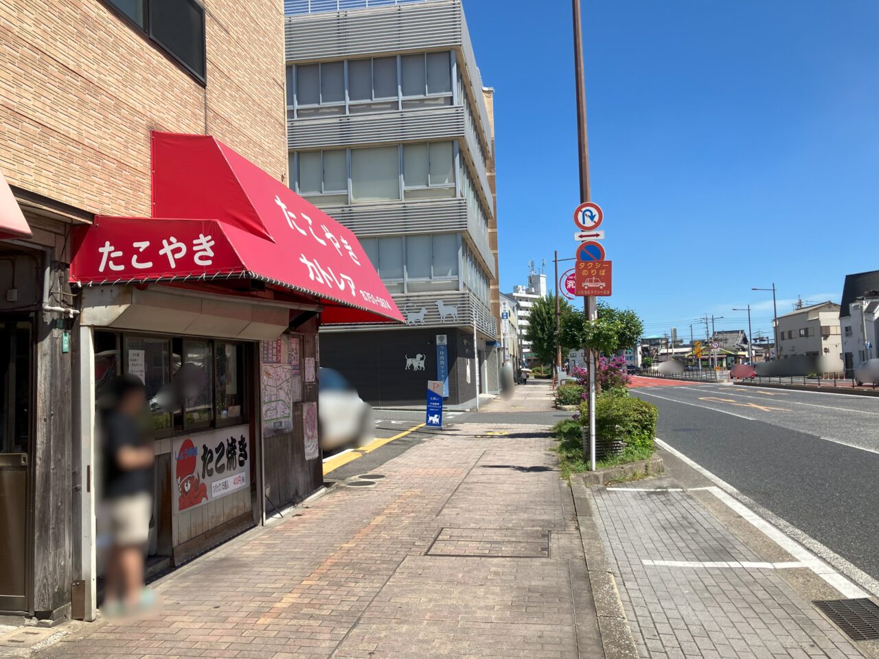 2025年に若松区のカトレア