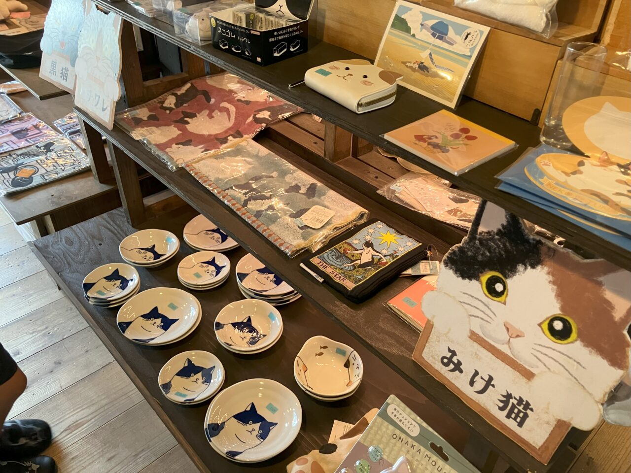 2025年に八幡西区の雑貨舎 雨宿りの猫たち