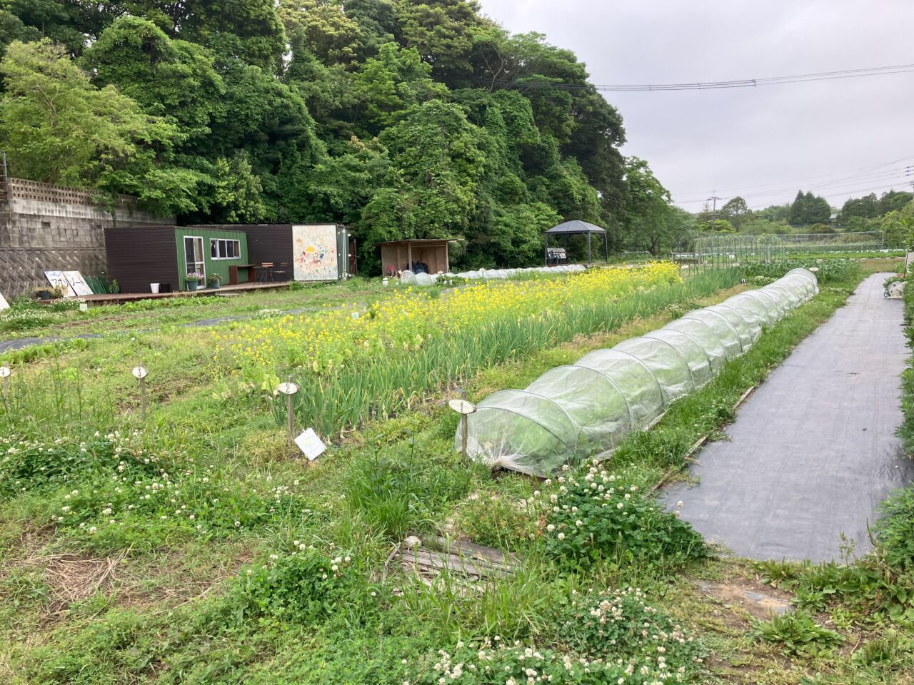 2025年に若松区で「2025秋の農ふぇす」が開催