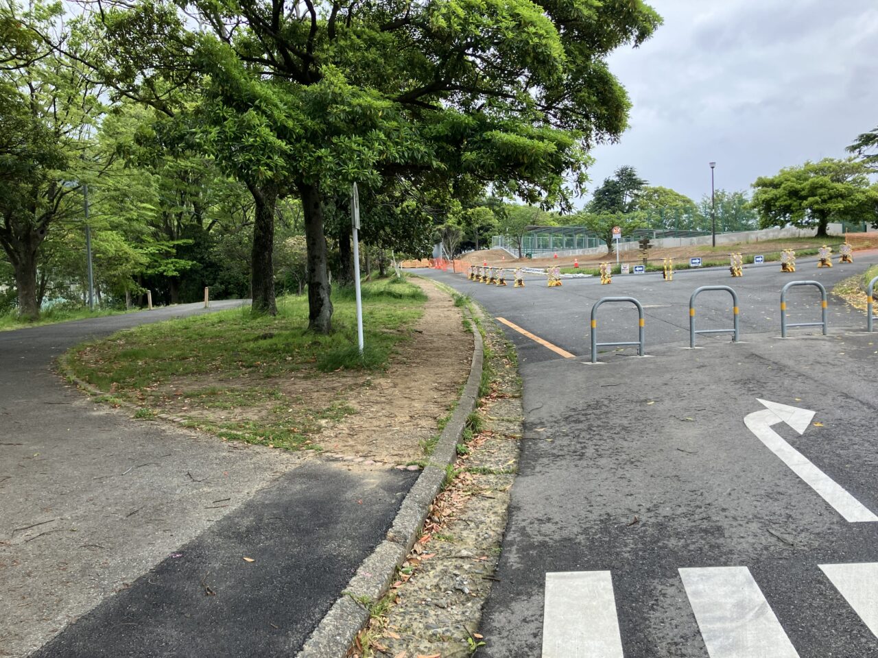 2025年に八幡東区で「秋のももぞの公園大作戦!」が開催