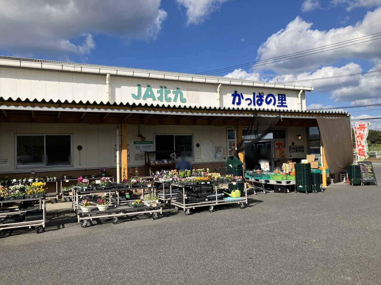 2025年に若松区で「若松ブロッコリーまつり」開催