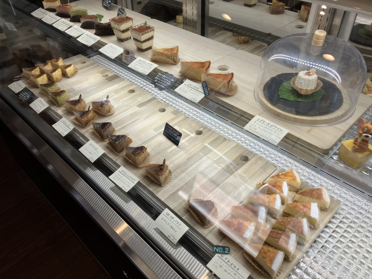 2025年に八幡西区のmelt(メルト)