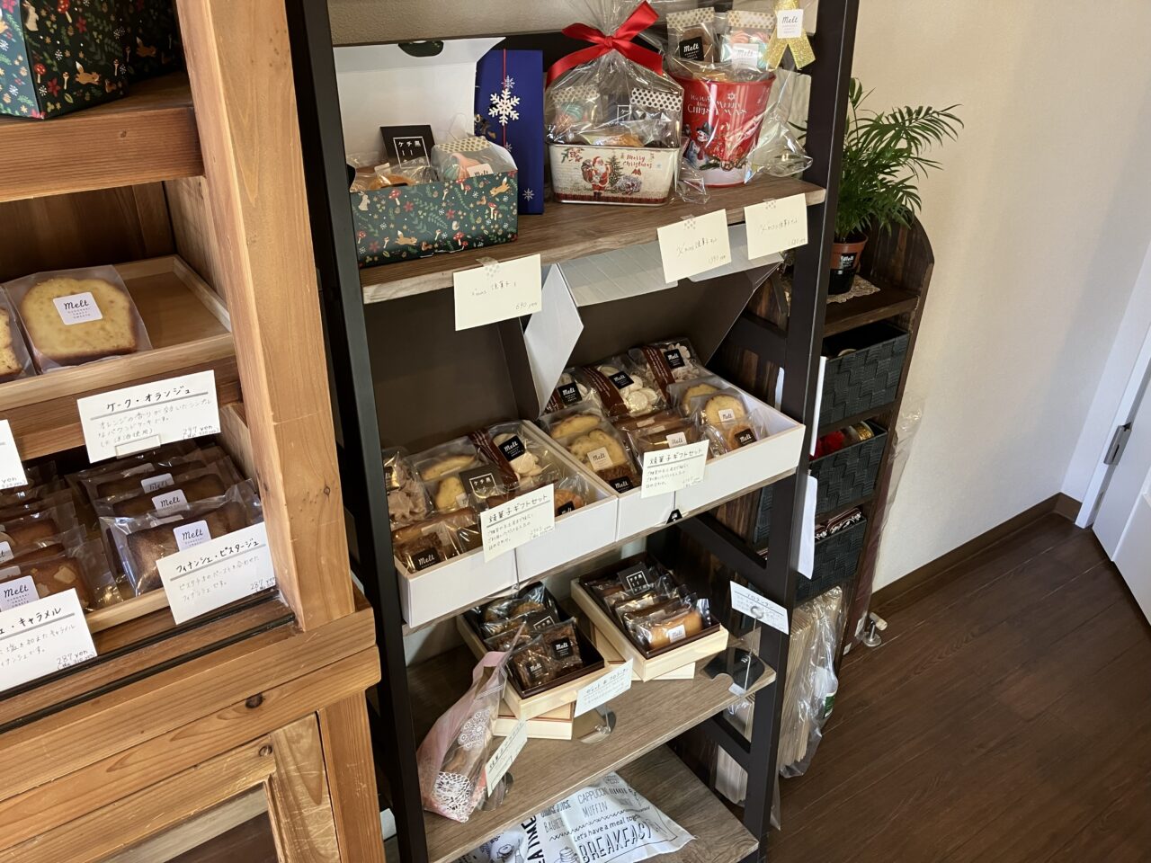 2025年に八幡西区のmelt(メルト)