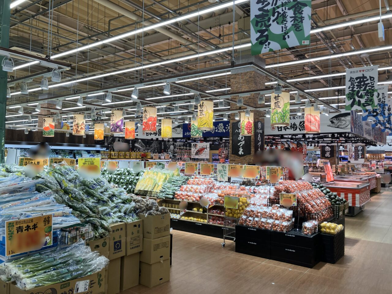 2025年に八幡東区の「ロピア 八幡東ナフコ店」様子