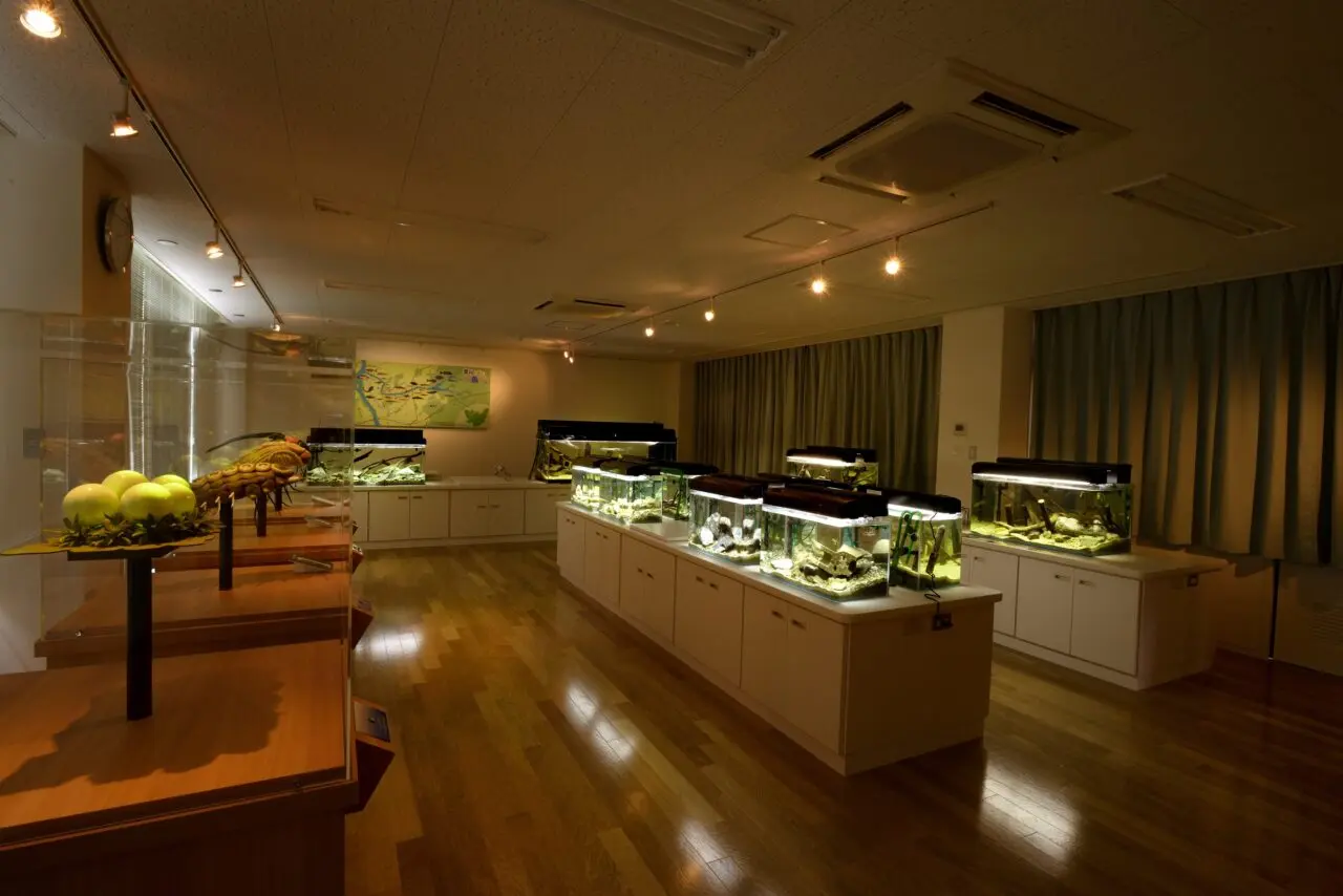 2026年に八幡西区の「香月・黒川ほたる館」でスタンプラリー