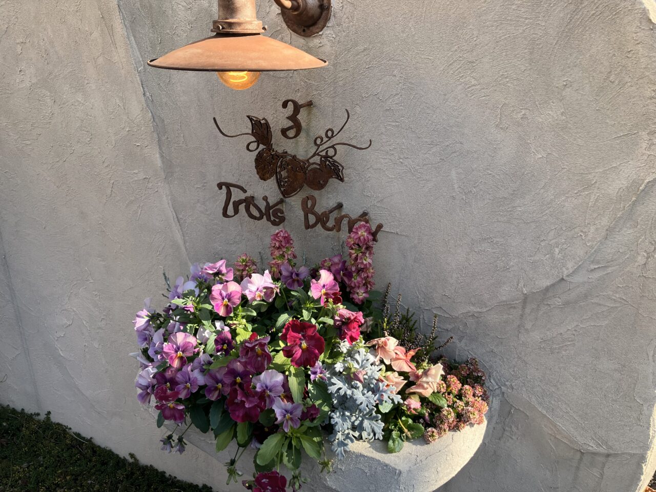 2026年に若松区のTrois Berry