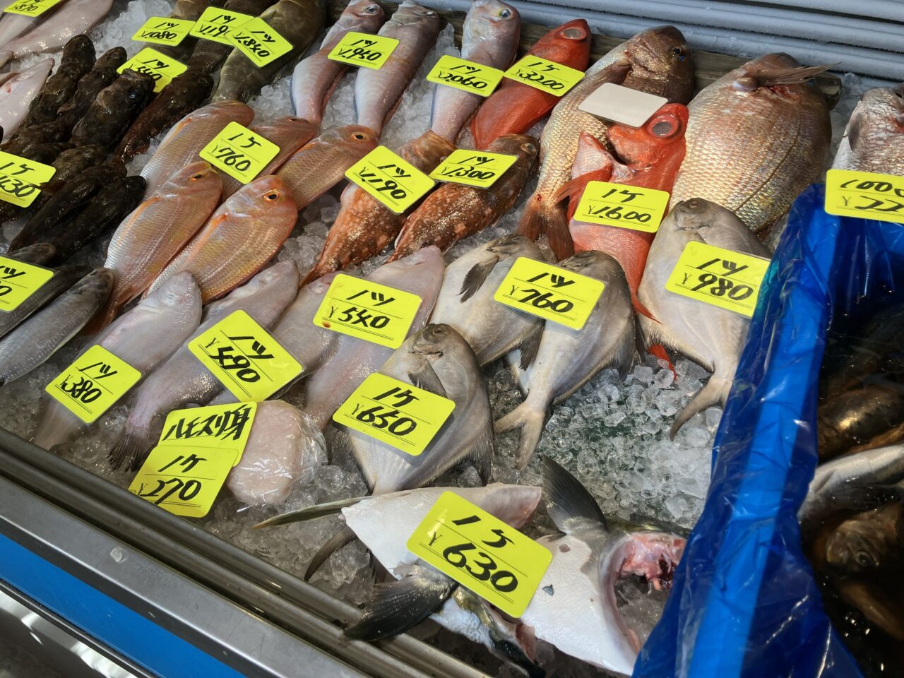 2026年に八幡西区の「やなぎ田」が、移転オープン