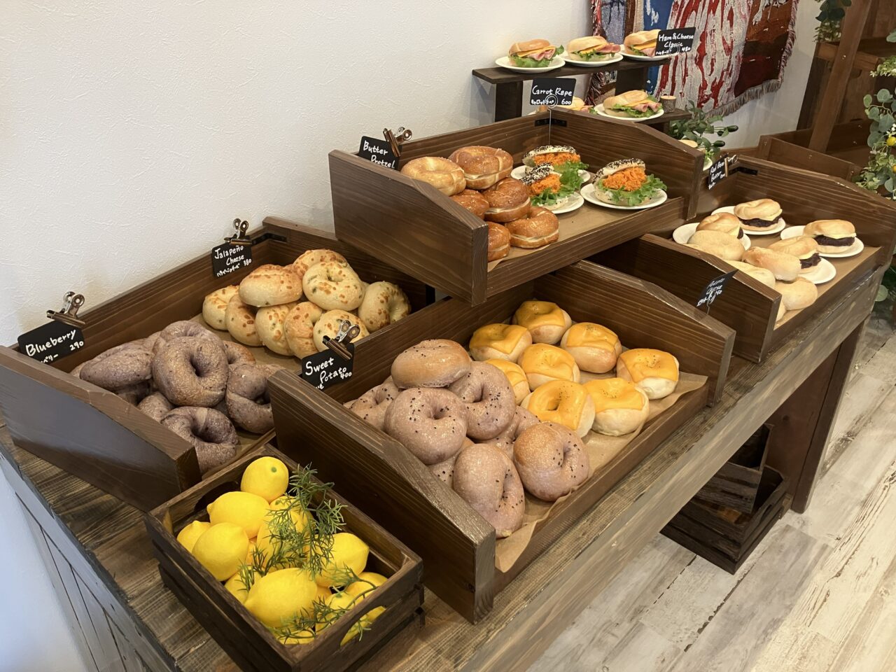 2026年に八幡西区のベビーバニーベーグル