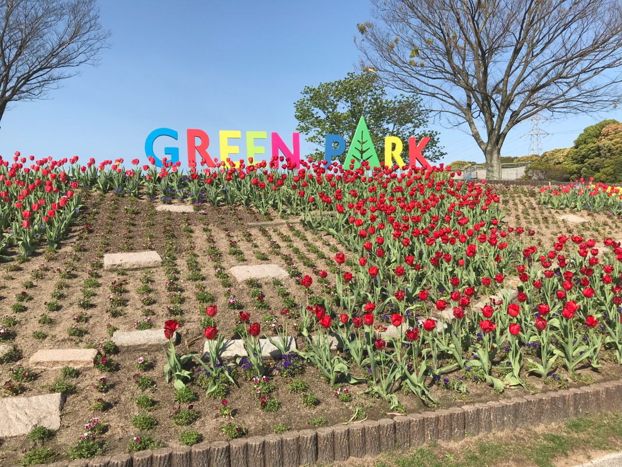 2026年に若松区のグリーンパークで、春のお笑いライブが開催