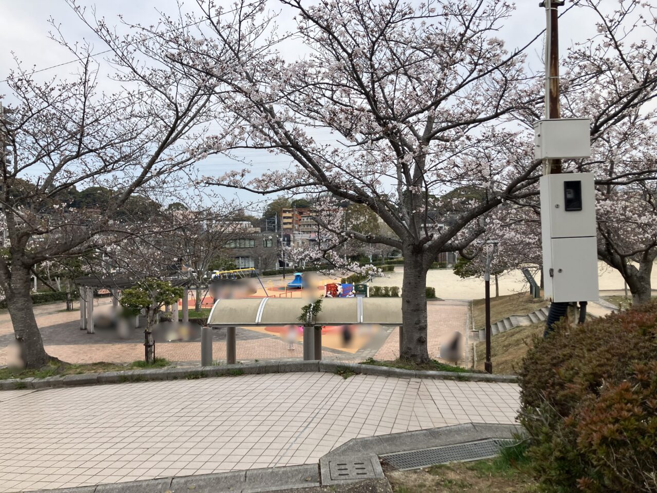 2026年に八幡東区の「県営中央公園」に、インクルーシブな遊具広場