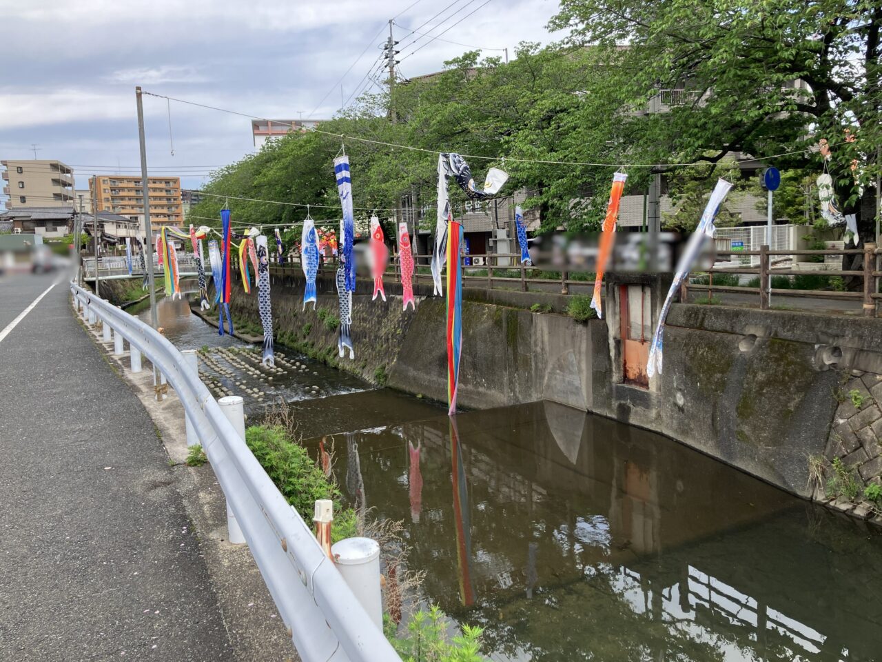 2026年に八幡西区の金山川に鯉のぼり