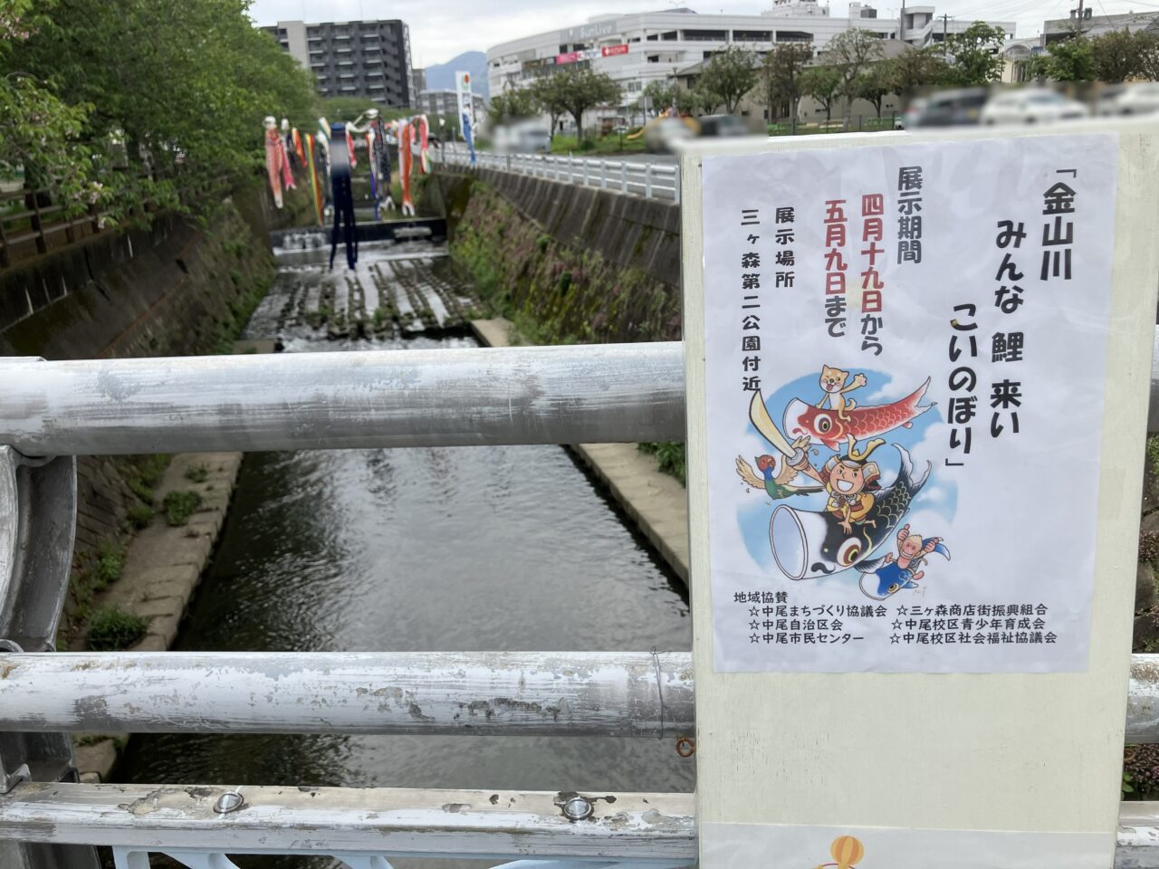 2026年に八幡西区の金山川に鯉のぼり