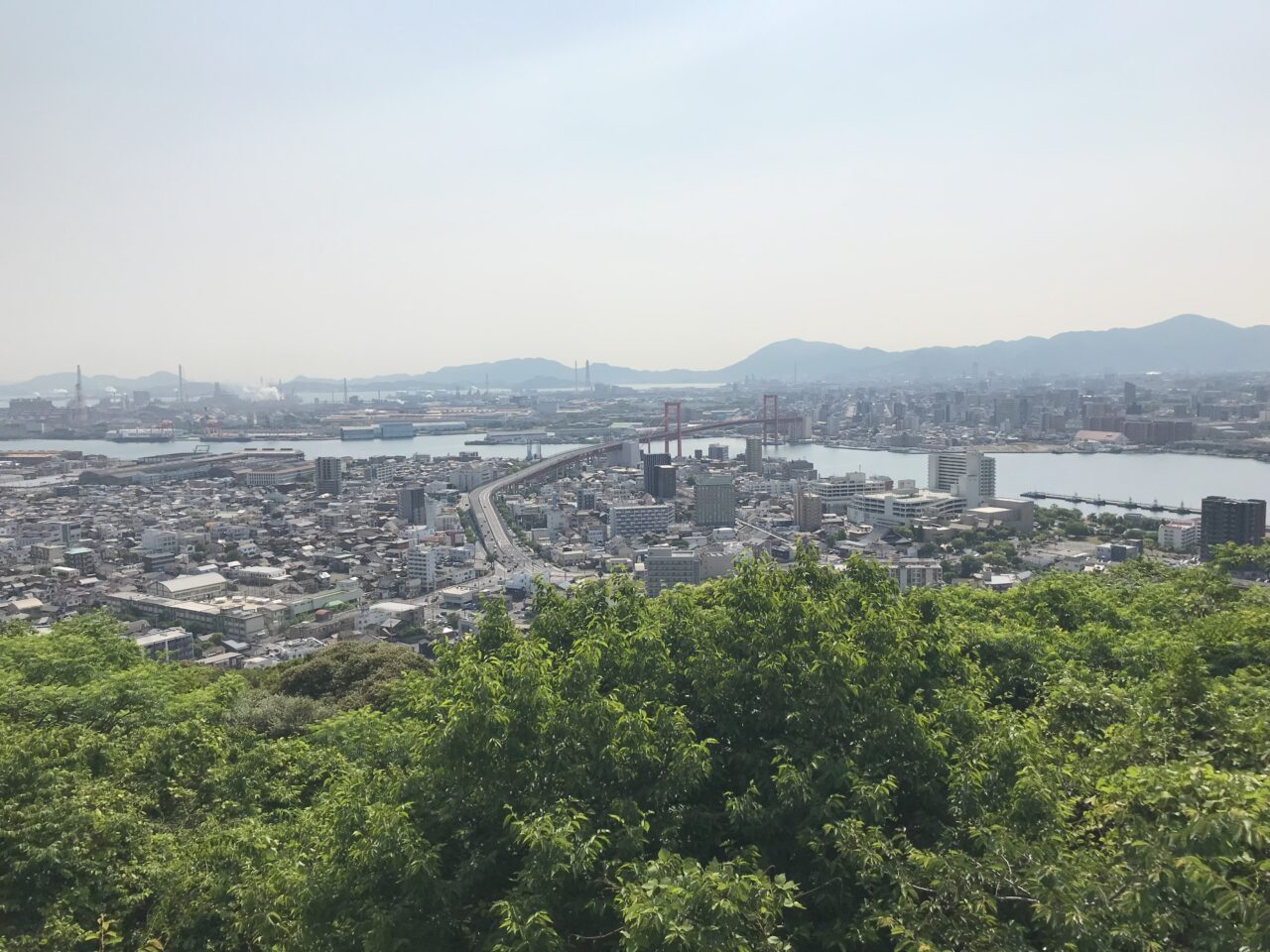 2026年に若松区で「若松あじさい祭り」が開催