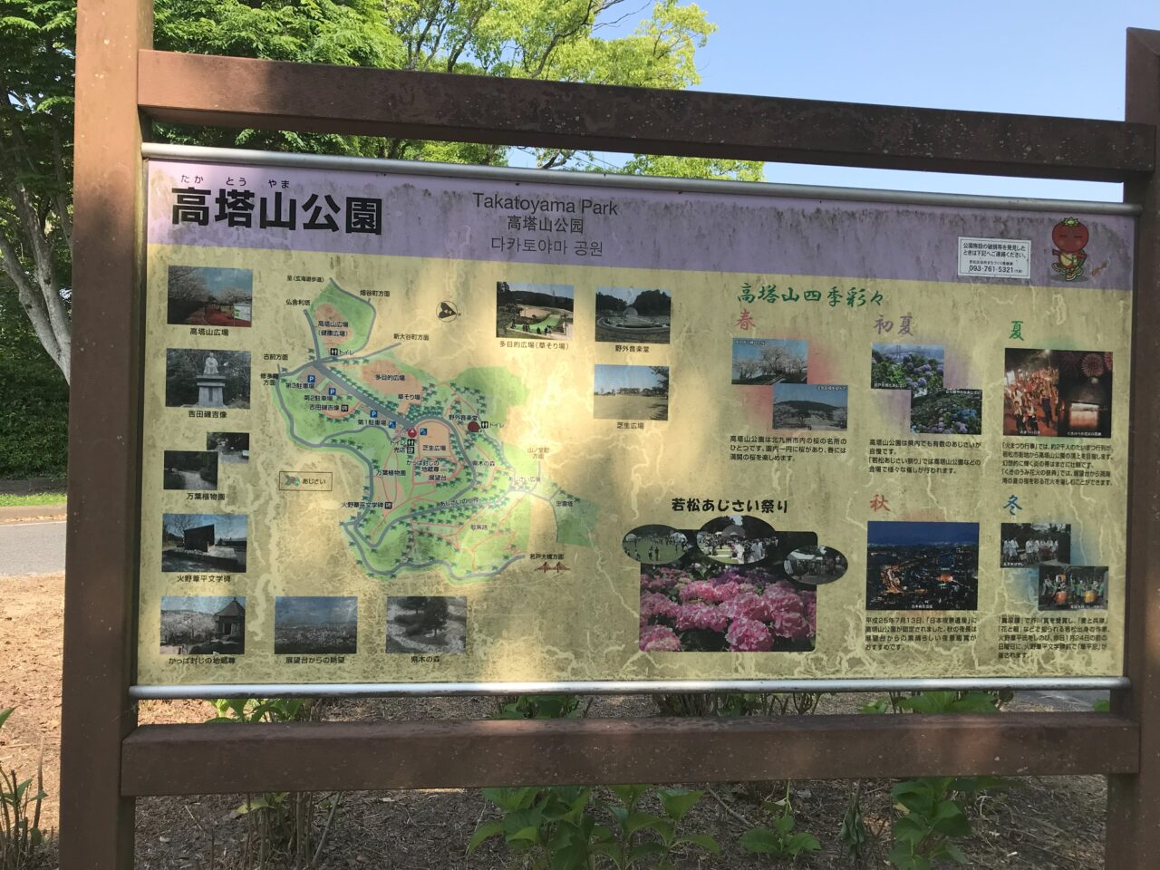 2026年に若松区で「若松あじさい祭り」が開催