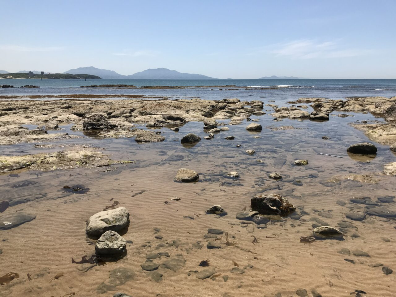 2026年に若松区の海水浴場